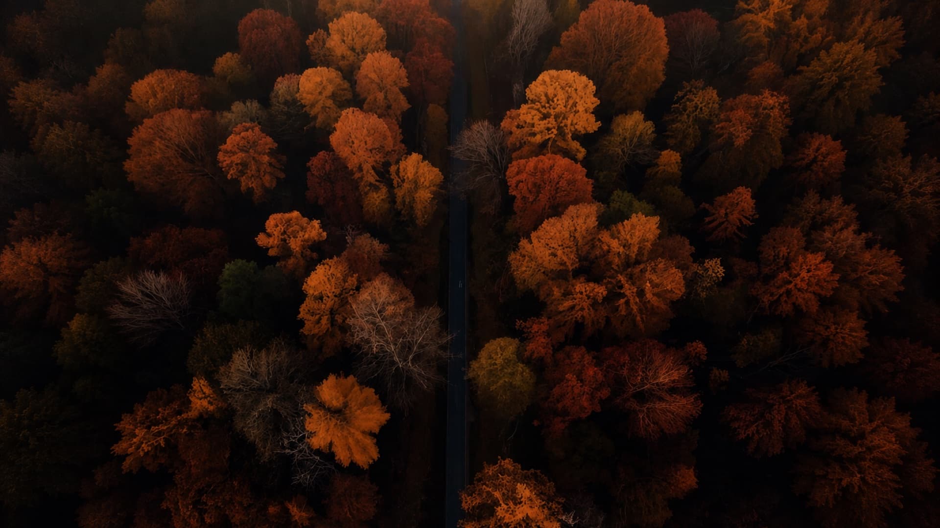 Hero Background