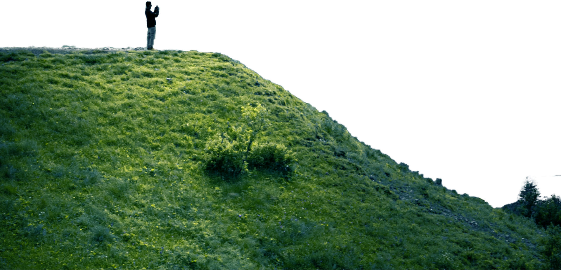 Parallax Foreground